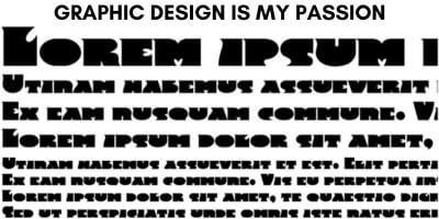 Graphic design is my passion meme: font frenzy with heavy decorative lorem ipsum text